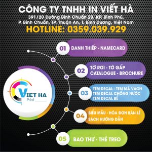 Cty Tnhh In Viet Ha 01